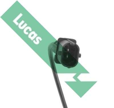 SENOR BATAI LUCAS SEB1503 1