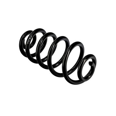 ARC SPIRAL EIBACH R10114 10