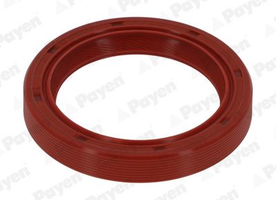 WELLENDICHTRING KURBELWELLE