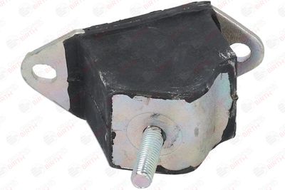 SUPORT MOTOR BIRTH 5225 1