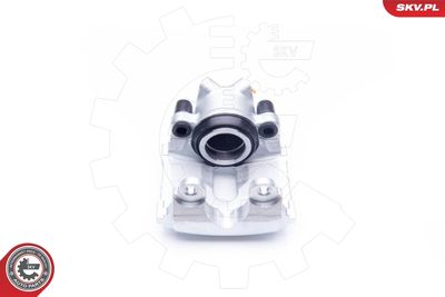 Brake Caliper 34SKV041