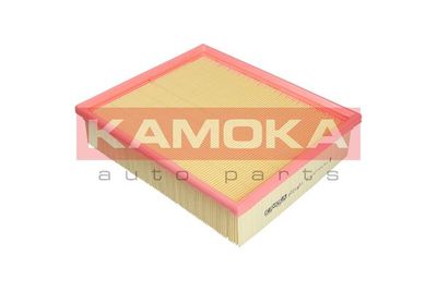 Air Filter F221801