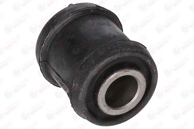 BUCSA ARBORE DE DIRECTIE BIRTH 4817 3