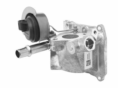 BorgWarner EGR Valve 710655D0