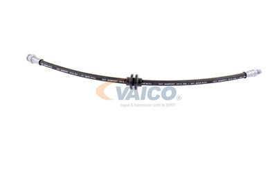 FURTUN FRANA VAICO V220617 27