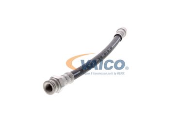 FURTUN FRANA VAICO V220616 17