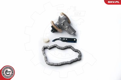 Timing Chain Kit 21SKV010