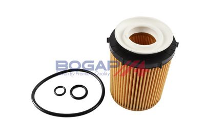 BOGAP Alyvos filtras