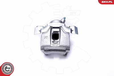 Brake Caliper 46SKV724