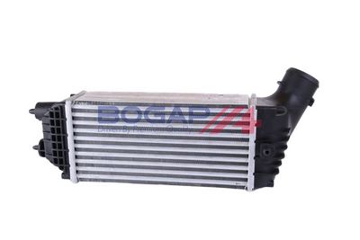 INTERCOOLER COMPRESOR BOGAP P4220110