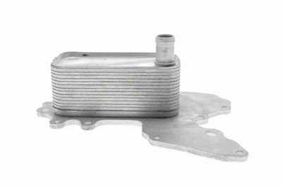 ÖLKüHLER MOTORöL VEMO V40602119 1