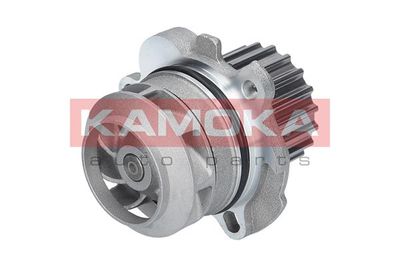 Water Pump, engine cooling T0034