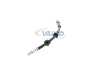 FURTUN FRANA VAICO V959582 16