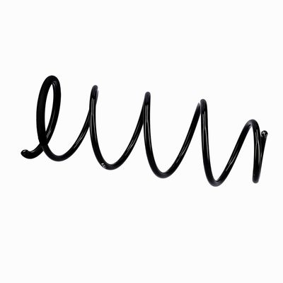 ARC SPIRAL EIBACH R10092 8