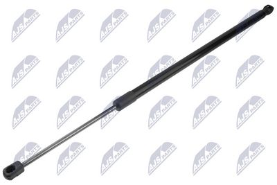 Dujinė spyruoklė, bagažinė