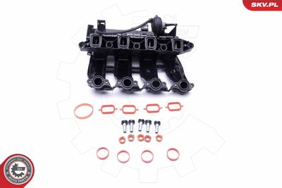 Intake Manifold Module 49SKV017