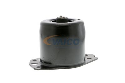 SUPORT MOTOR VAICO V240368 44