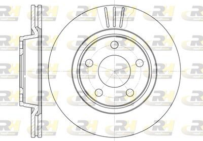 ROADHOUSE 6548.10 Тормозные диски для VW PASSAT B5 Variant (3B5)