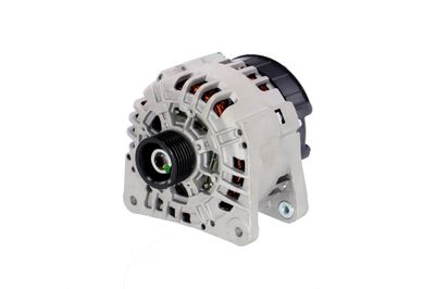 GENERATOR / ALTERNATOR REMANTE 011003000221R 6