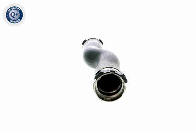 LADELUFTSCHLAUCH VAICO V202724 3