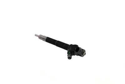 INJECTOR REMANTE 002003001751R 20