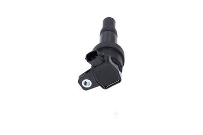 Kavo Parts Ritė, uždegimas