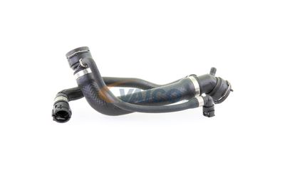 KüHLERSCHLAUCH VAICO V201691 58