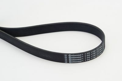 CONTINENTAL CTAM Keilrippenriemen