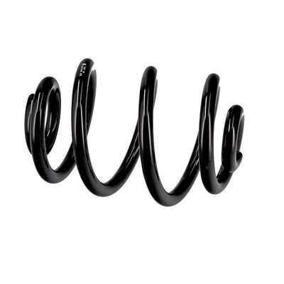 ARC SPIRAL EIBACH R10106 8