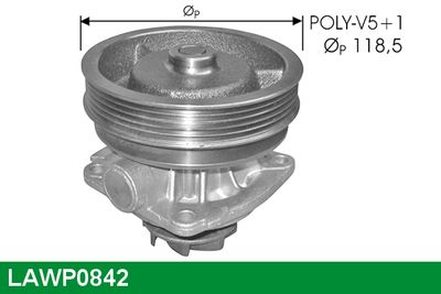 POMPă DE APă RăCIRE MOTOR