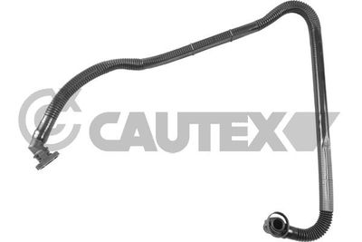 Шланг, вентиляция картера CAUTEX 767529 для VW PASSAT
