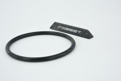 ETANșARE CARCASă CLAPETă FEBEST RINGAH010 32