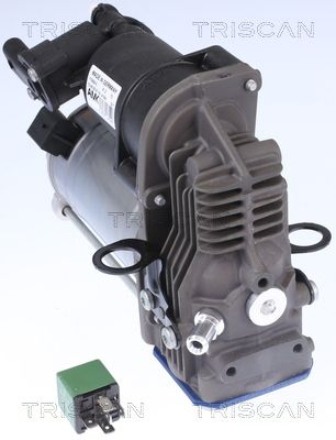 Kompressor, trykluftanlæg TRISCAN 8725 23103