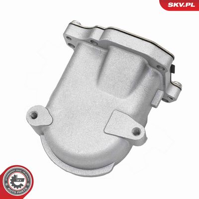 RADIATOR RECIRCULARE GAZE DE ESAPAMENT ESEN SKV 14SKV329 2