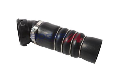 FURTUN EAR SUPRAALIMENTARE BOGAP B1711217 2