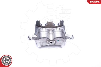 Brake Caliper 44SKV912