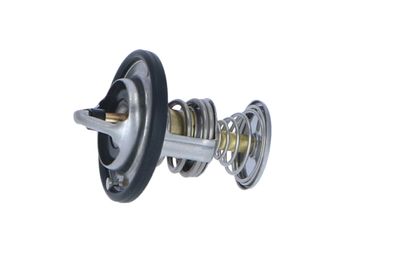TERMOSTAT LICHID RACIRE NRF 725199 15