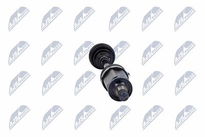 PLANETARA NTY NPWBM045 33