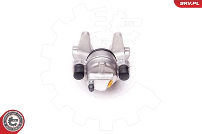 Brake Caliper 23SKV794