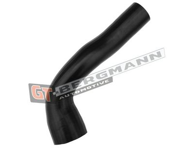 GT-BERGMANN Automotive Kompresoriaus padavimo žarna