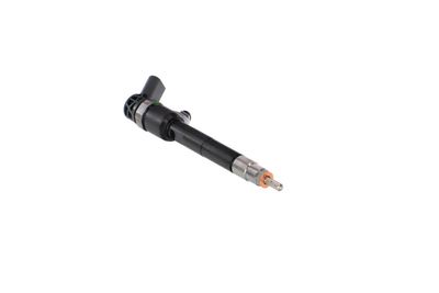 INJECTOR REMANTE 002003002283R 48