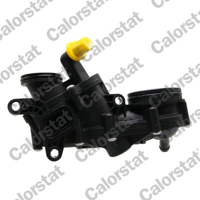 Termostat, chladivo CALORSTAT by Vernet TE7384.92J