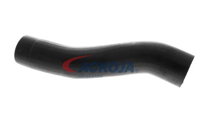 FURTUN EAR SUPRAALIMENTARE ACKOJA A529600 13