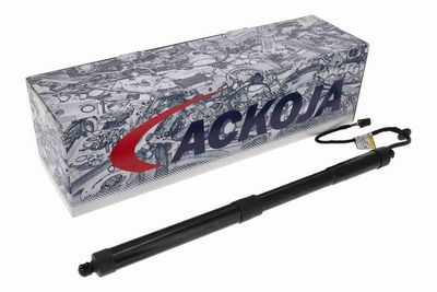 MOTOR ELECTRIC HAION ACKOJA A52550008 1