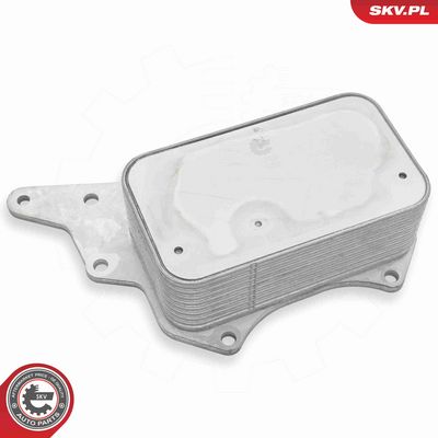 RADIATOR ULEI ULEI MOTOR ESEN SKV 31SKV306 1