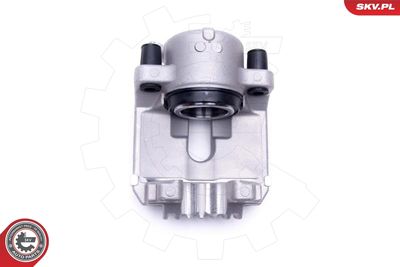 Brake Caliper 56SKV292