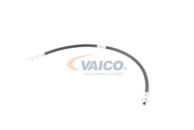 FURTUN FRANA VAICO V103077 16