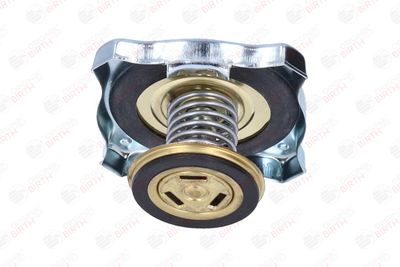 BUSON RADIATOR BIRTH 8088 6