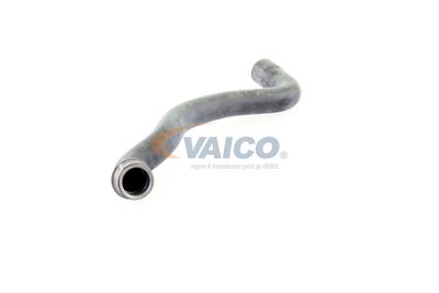 KüHLERSCHLAUCH VAICO V301655 51