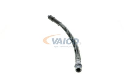 FURTUN FRANA VAICO V464113 21